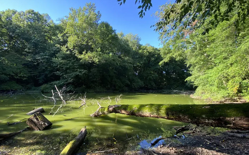 Florence and Robert Zuck Arboretum, United States